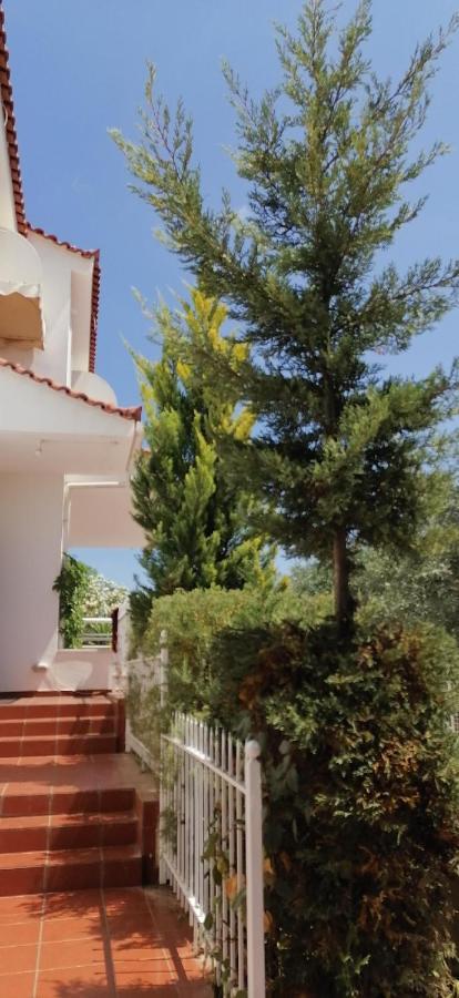ευχάριστη στη στην περιοχή 
